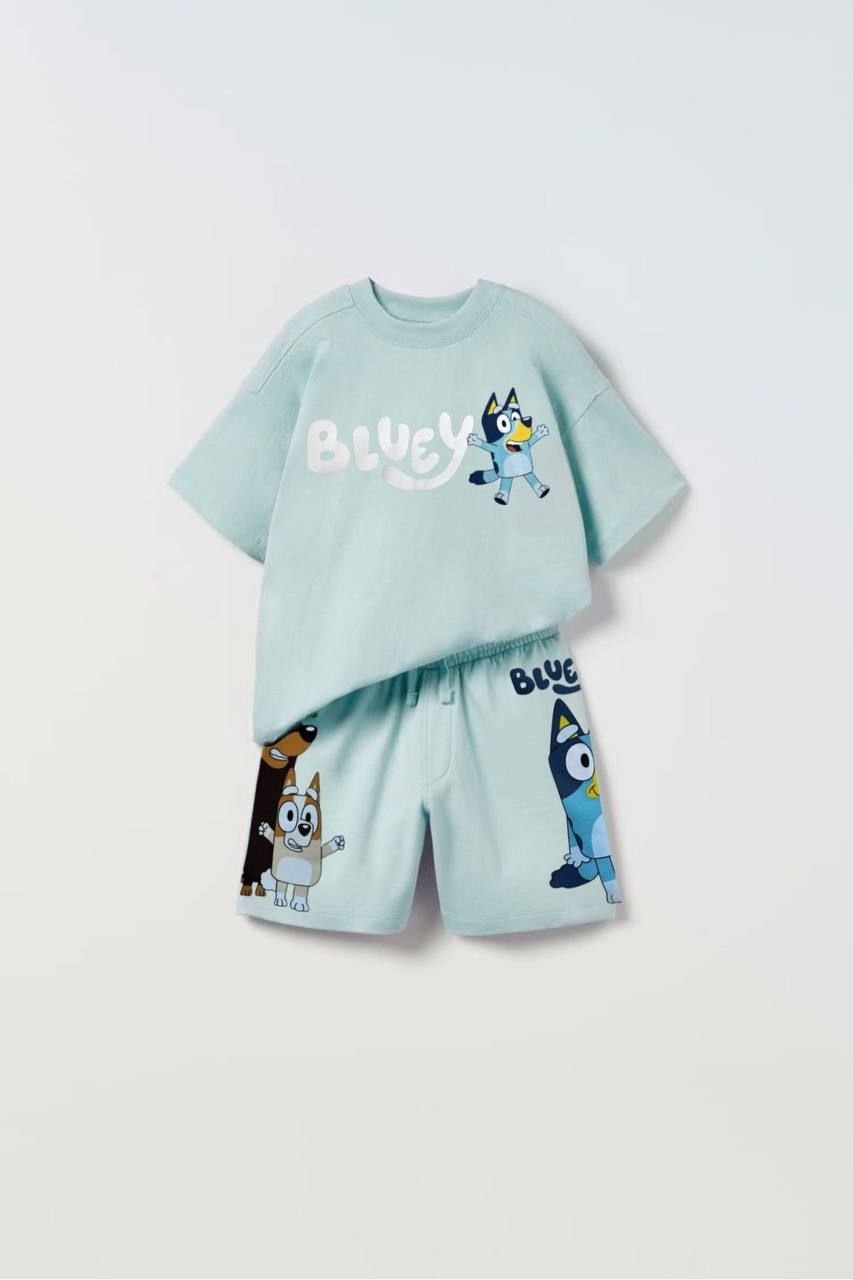 Yeni Sezon Erkek Çocuk Bluey Baskılı Alt-Üst Takım